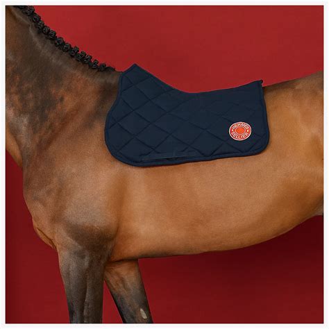 hermes saddle blanket|hermes horse saddle price.